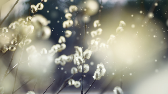 6 Symptoms You Didn't Know Could Be Spring Allergies